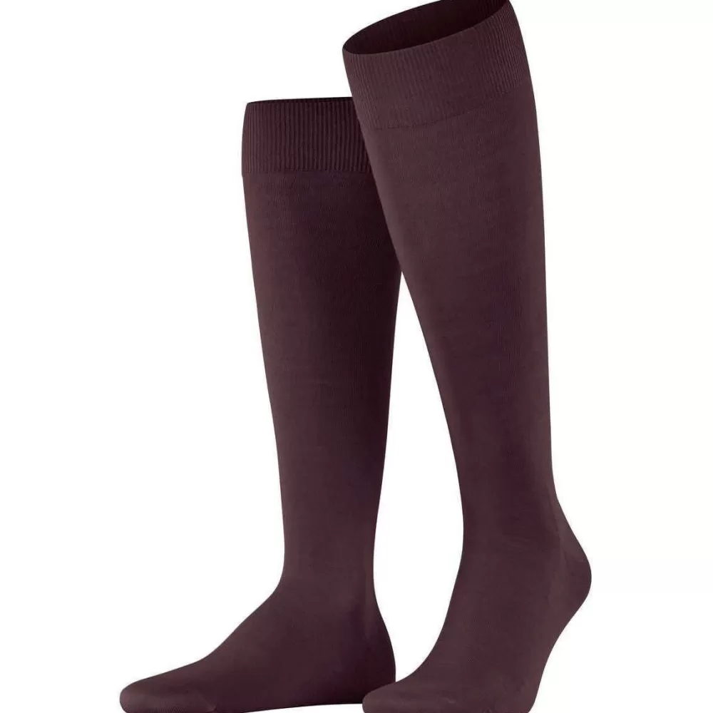 Falke Men's Socks^Burgundy Climawool Knee High Socks