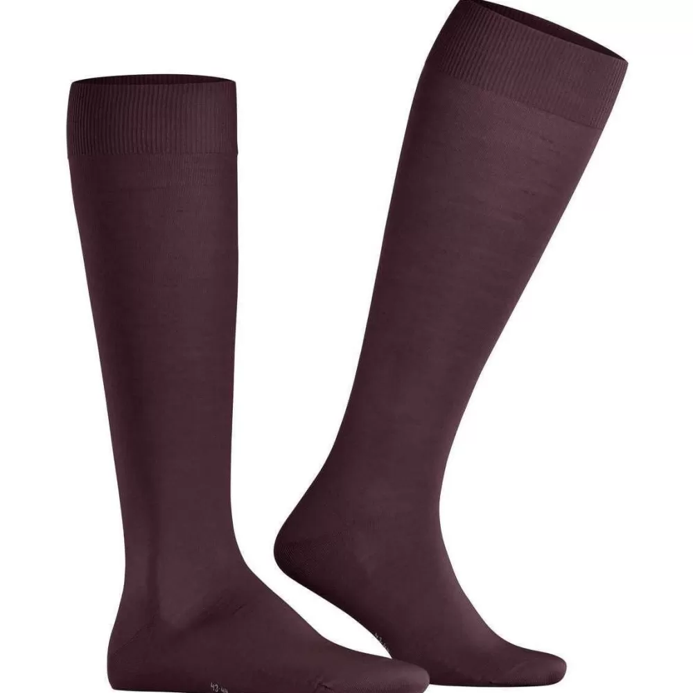 Falke Men's Socks^Burgundy Climawool Knee High Socks
