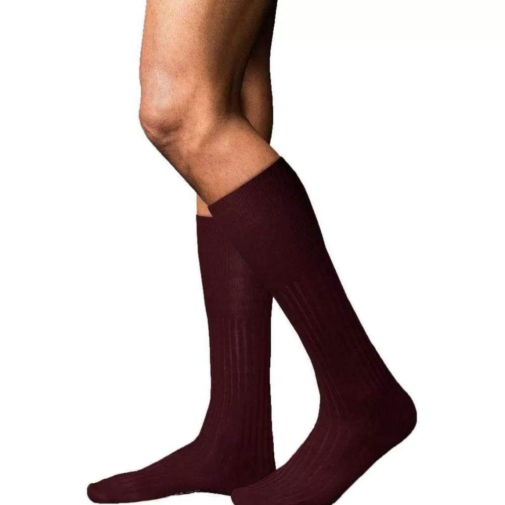 Falke Men's Socks^Burgundy No13 Finest Piuma Cotton Knee High Socks