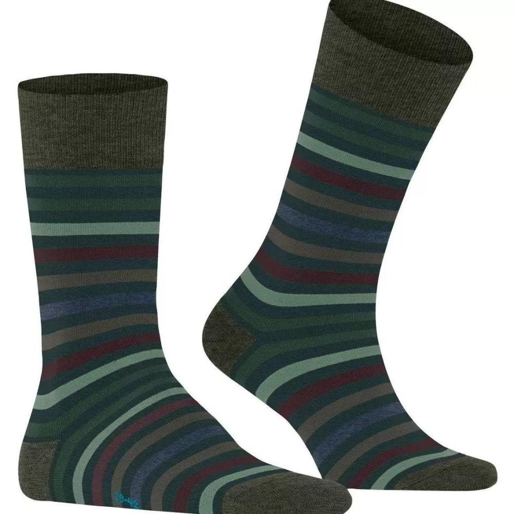Falke Men's Socks^Green Tinted Stripe Socks