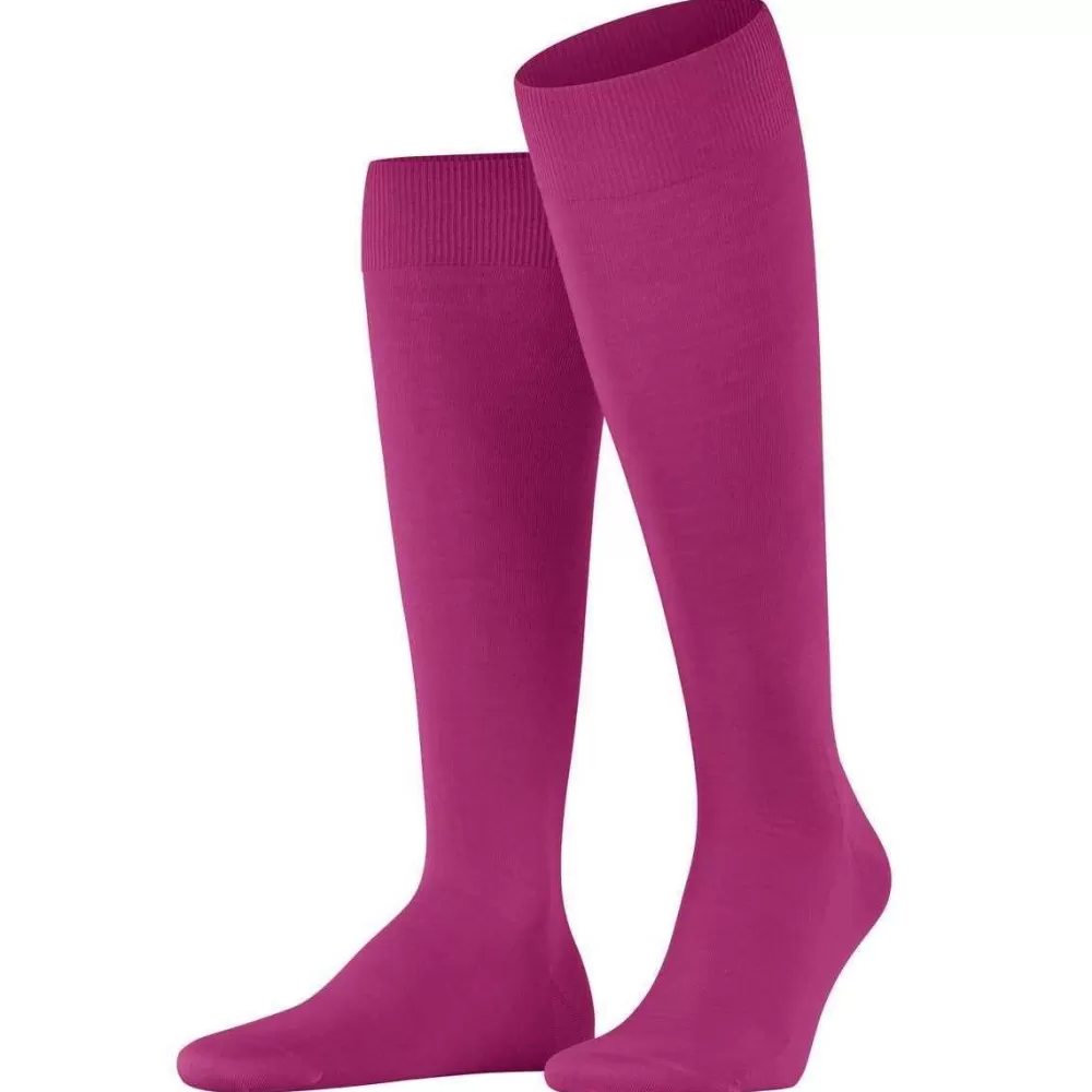 Falke Men's Socks^Pink Climawool Knee High Socks